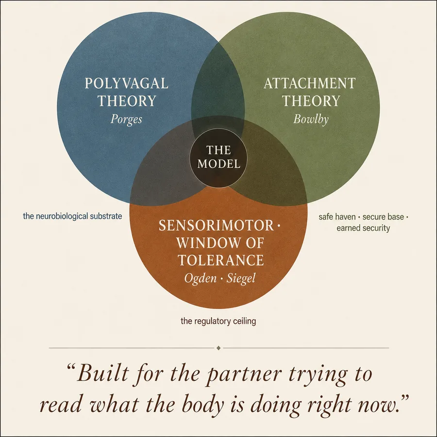 Venn diagram: three theoretical pillars of the BSHAS — Polyvagal Theory, Attachment Theory, Sensorimotor / Window of Tolerance